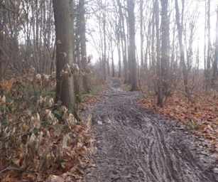Pellenberg - 13-12-2020 (26)