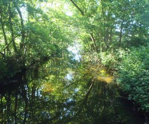 Heindonk - 13-06-2021 (17)
