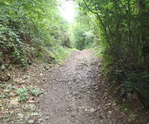 Wanze 11-09-2021 (6)