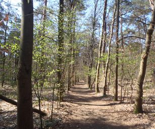 Kasterlee - 17-04-2021 (3)