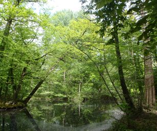 30-04-2022 - Destelbergen (7)
