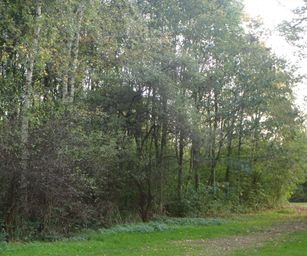 11-11-2022 Destelbergen 3 (11)