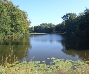 Diest  - 05-09-2020 (4)
