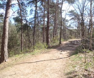 Kasterlee - 17-04-2021 (18)