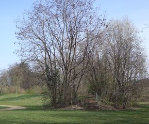 Kessel-Lo - 28-03-2021 (26)