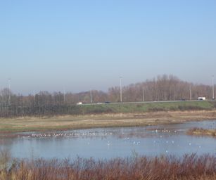 Gentbrugge - 28-11-2020 (27)