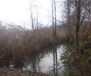 Pellenberg - 13-12-2020 (30)