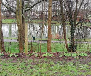 Hemiksem 02-02-2020 (3)