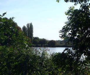 P9130331