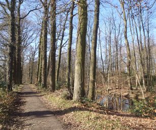 12-02-2022 - Lier (6)