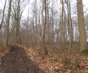 04-02-2023 - Borsbeke (11)
