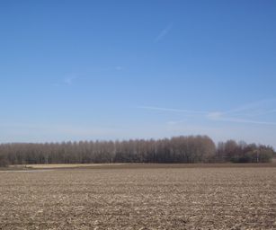 Asse - 06-03-2021 (11)