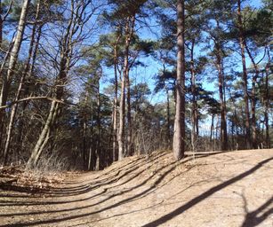 26-02-2023 - Zoersel (16)