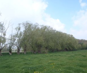 Dendermonde - 01-05-2021 (2)