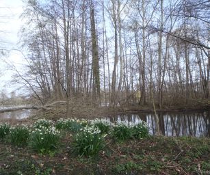 Kessel-Lo - 28-03-2021 (34)