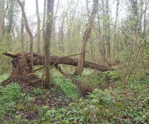 16-04-2023 - Winksele (8)