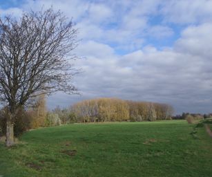 Wetteren - 31-10-2020 (3)