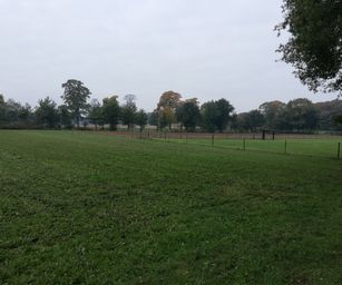 Paal - 18-10-2020 (10)