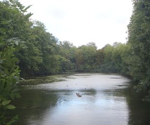 Diest  - 05-09-2020 (33)