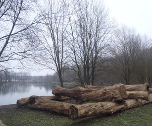 Sint-Niklaas - 27-02-2021 (19)