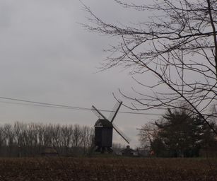 04-02-2023 - Borsbeke (26)