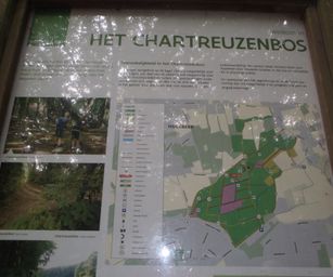 Holsbeek - 02-08-2020 (10)