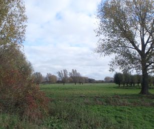 Wetteren - 31-10-2020 (7)