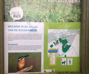 De Pinte - 05-01-2020 (17)
