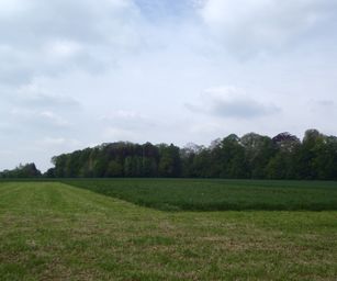 01-05-2022 - Herzele (6)