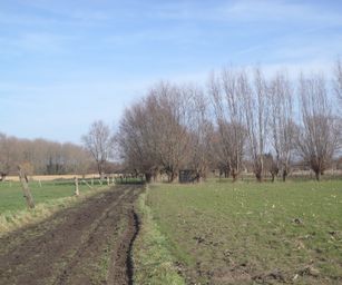 Bottelare 20-02-2021 (11)