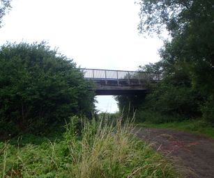 Taviers - 05-07-2020 (7)