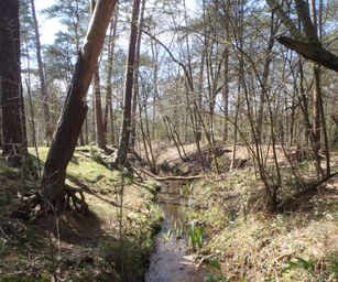 Kasterlee - 17-04-2021 (25)