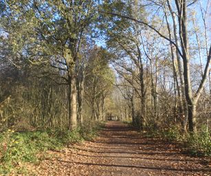 Gentbrugge - 28-11-2020 (10)