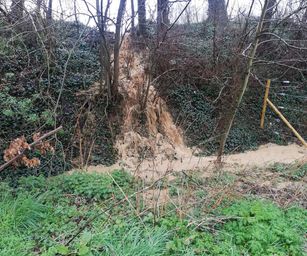 tubize - 08-03-2020 (10)
