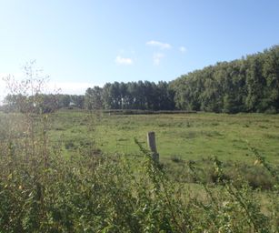 Diest  - 05-09-2020 (6)