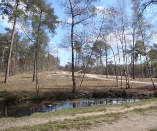 Kasterlee - 17-04-2021 (15)