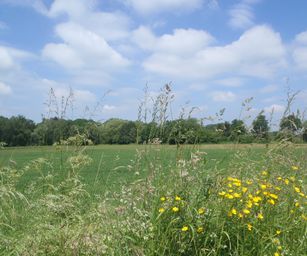 Haacht - 06-06-2021 (24)
