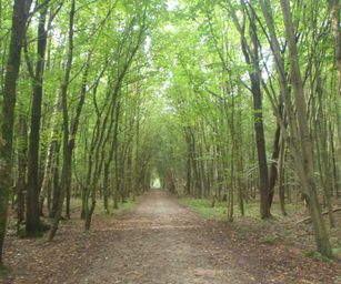 Sint-Pieters-Woluwe  - 19-09-2021 (17)
