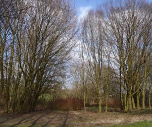06-03-2022 - Tubize (18)