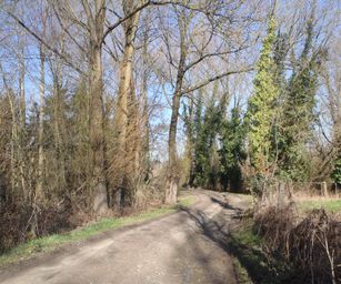 Asse - 06-03-2021 (5)
