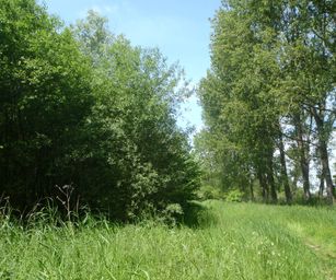 30-05-2023 - Assebroek (4)