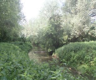 21-05-2022 Tongeren (16)