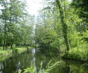 26-05-2022 Sint-truiden (25)
