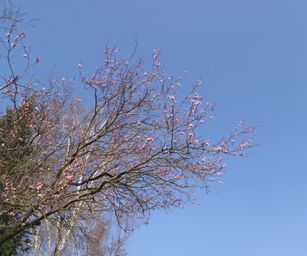 06-03-2022 - Tubize (9)