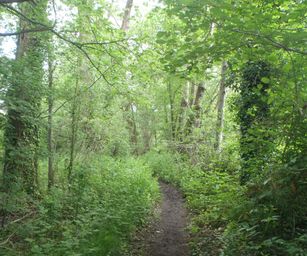 25-05-2023 - Herselt (6)