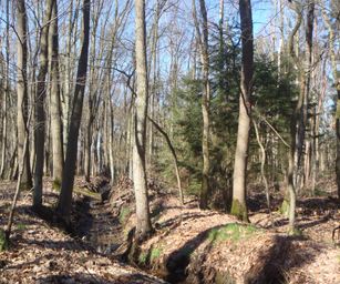 03-04-2023 - Diepenbeek (7)