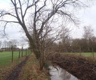 09-01-2022 - Hulsthout  (29)
