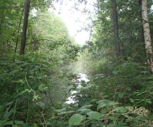Holsbeek - 02-08-2020 (33)