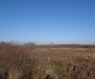 Gentbrugge - 28-11-2020 (13)