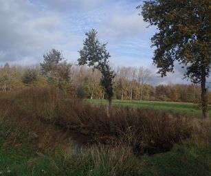 Kalken - 14-11-2020 (23)